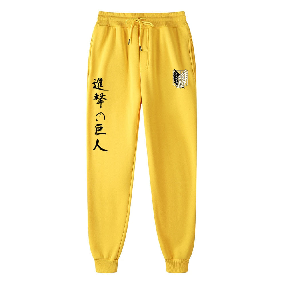 Attack on Titan Printed Men Pants