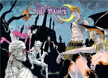 Bleach kenpachi Gotei Figure Poster